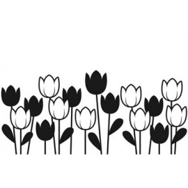 Embos kapsa tulipány