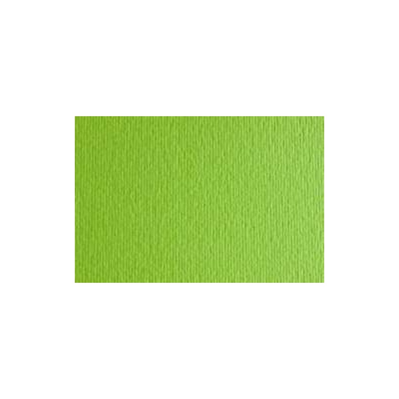 Grafický papír Elle Erre Fabriano 220 g/m², 70×100 cm – Verde Pisell