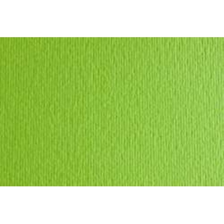 Grafický papír Elle Erre Fabriano 220 g/m², 70×100 cm – Verde Pisell