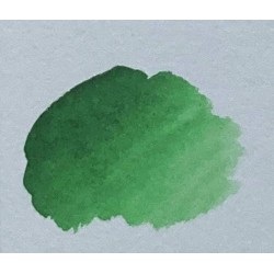 Akvarelové barvy Mungyo Professional watercolor 833 - Hooker´s Green