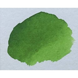 Akvarelové barvy Mungyo Professional watercolor 835 - Sap Green
