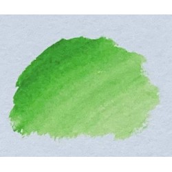 Akvarelové barvy Mungyo Professional watercolor 836 - Yellow Green